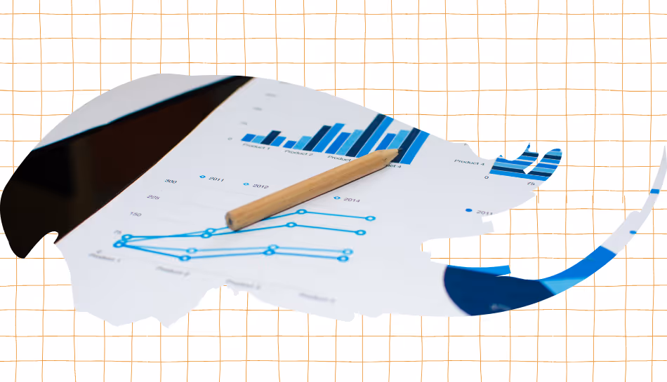Best 5 Accounting Software in India